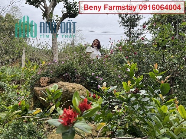 💥Cho thuê Homestay tại xã Vân Hòa, Ba Vì, Hà Nội; 0916064004