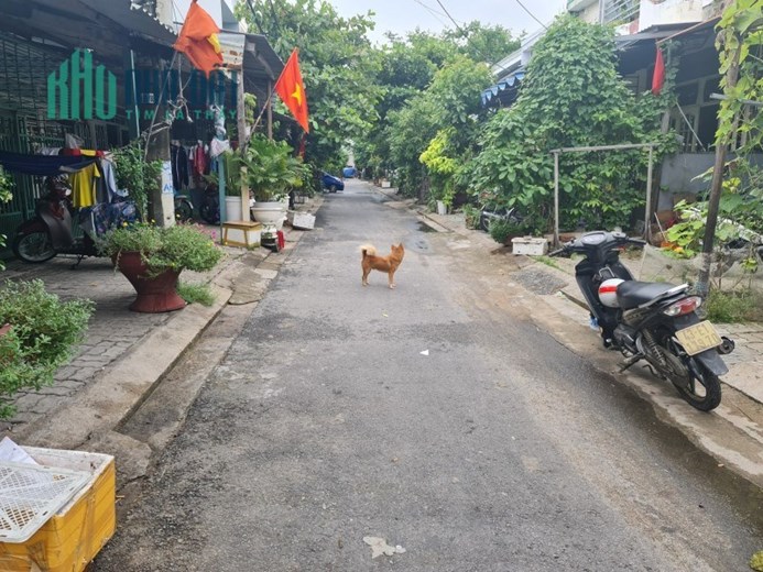 Nhà mặt tiền An Hải 12 cần bán gấp giá Phát mãi