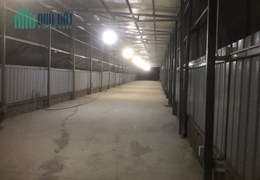 Nhà em cho thuê mặt bằng xưởng, kho bãi với diện tích 420 mét vuông, dài 80 rộng 60, mặt đường rộng