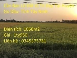 Cần Bán Lô Đất Vị Trí Đẹp Tại Huyện Gò Dầu- Tỉnh Tây Ninh