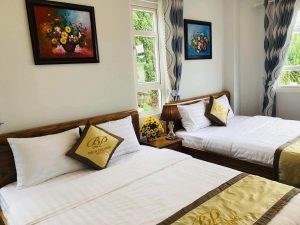 Chính Chủ Cần Bán Khách Sạn Căn Góc 2 Mặt Tiền Vị Trí Đẹp Tại Tp Đà Lạt