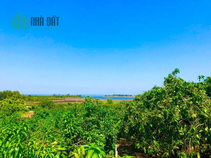 Bán đất view hồ 200m2 full thổ
