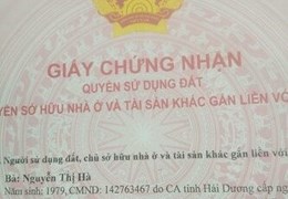Chính chủ bán tách thửa mảnh đất tại Sao Đỏ, Chí Linh, Hải Dương