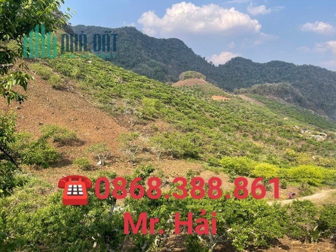 Bán gấp mảnh đất 1300m2, giá hơn 750tr , Tại TK19/5 , TTNT Mộc Châu
