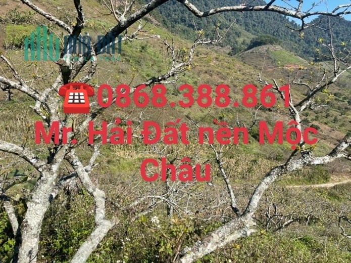 Bán gấp mảnh đất 1300m2, giá hơn 750tr , Tại TK19/5 , TTNT Mộc Châu