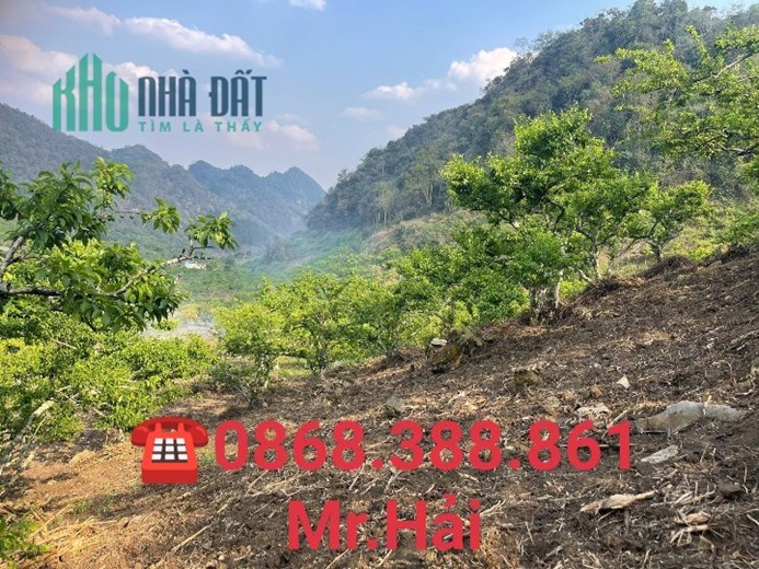 Bán gấp mảnh đất 1300m2, giá hơn 750tr , Tại TK19/5 , TTNT Mộc Châu