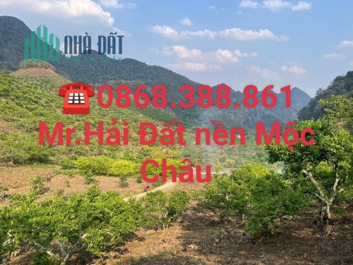 Bán gấp mảnh đất 1300m2, giá hơn 750tr , Tại TK19/5 , TTNT Mộc Châu