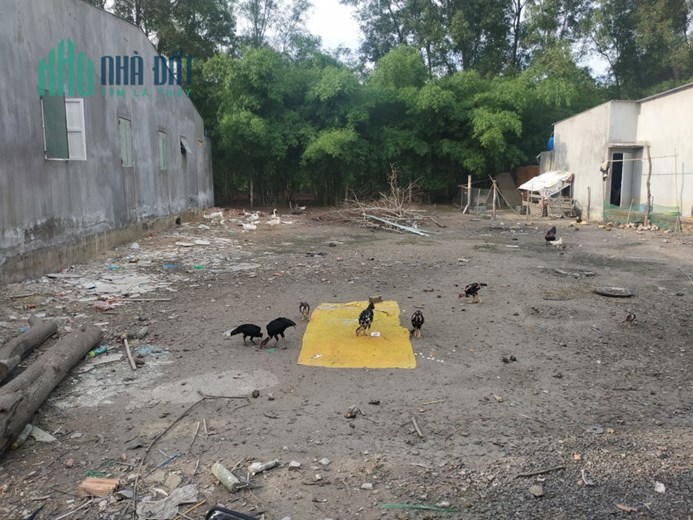 Bán 131m2 đất thị xã Bến Cát, SHR, chỉ 870tr. Lh:0981316590 (Tuyên)