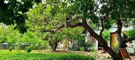 Cần bán villa Đảo Hoa Vàng, thôn Bình Lập, xã Cam Lập, Cam Ranh, Khánh Hòa