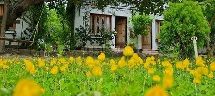 Cần bán villa Đảo Hoa Vàng, thôn Bình Lập, xã Cam Lập, Cam Ranh, Khánh Hòa
