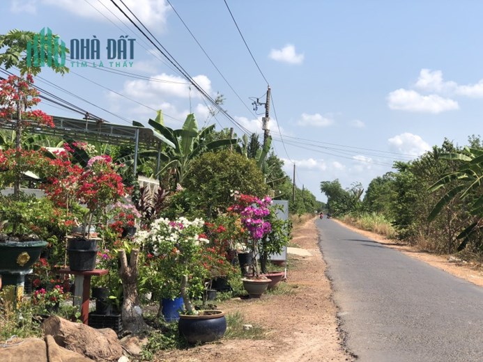 CẦN TIỀN XÂY NHÀ NÊN BÁN LÔ ĐẤT DƯỚI TÂY NINH