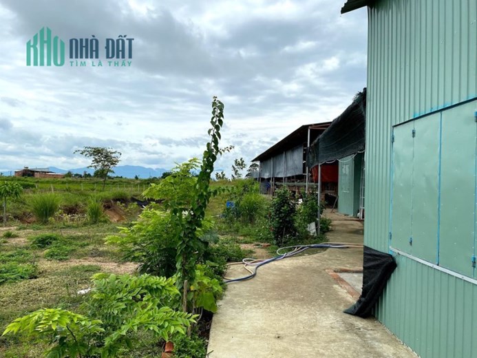 CHÍNH CHỦ CẦN BÁN TRANG TRẠI DÊ GIẤY TỜ PHÁP LÝ ĐẦY ĐỦ
