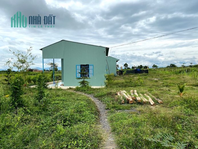 CHÍNH CHỦ CẦN BÁN TRANG TRẠI DÊ GIẤY TỜ PHÁP LÝ ĐẦY ĐỦ