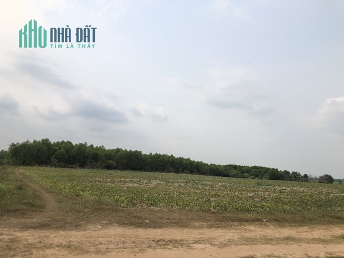 Đất Tây Ninh giá rẻ, sổ riêng, tiềm năng sinh lời lớn