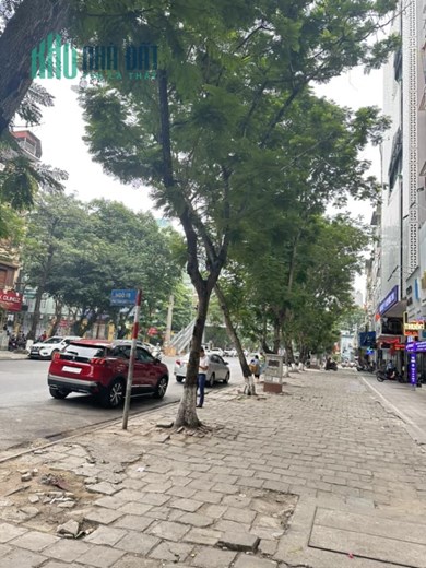 Bán siêu phẩm Mặt Phố Trần Quốc Hoàn, Cầu Giấy, 60m2, mặt tiền 7m, kinh doanh bất chấp mọi loại