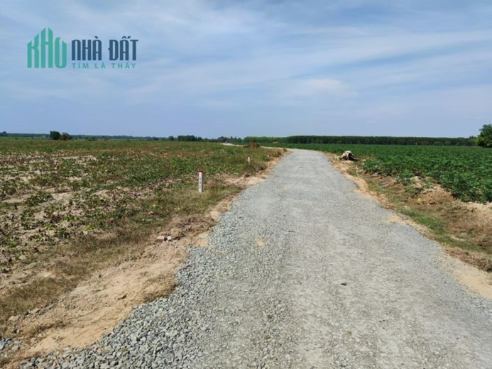 Sinh lời ổn định với đất vườn Tây Ninh chỉ 393 triệu/sào - đầu tư thông minh cho tương lai