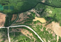 Cần bán 8,6 mẫu đất Châu Đức, Suối Rao