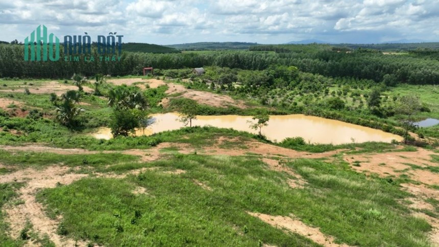 Cần bán 8,6 mẫu đất Châu Đức, Suối Rao