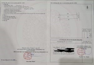 Chính Chủ Cần Bán đất: Diện Tích Rộng tại Đồng Nai