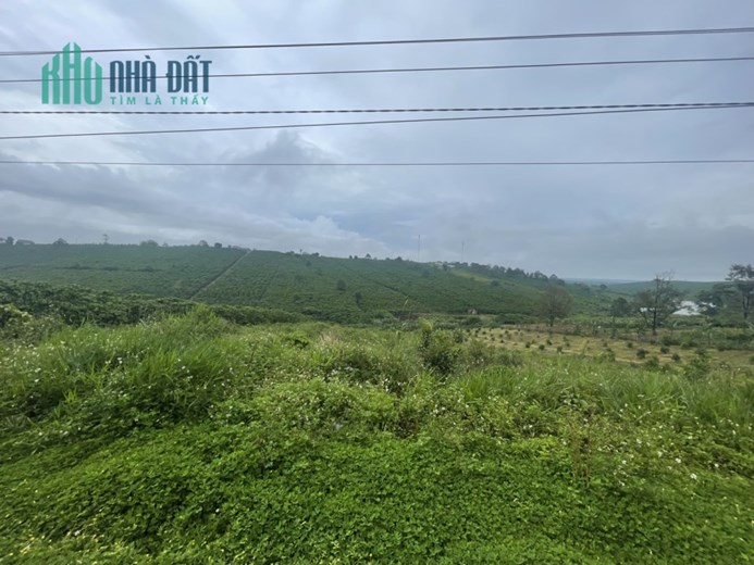 Sang nhượng lô đất mặt tiền đường vào Thác Đam'bri