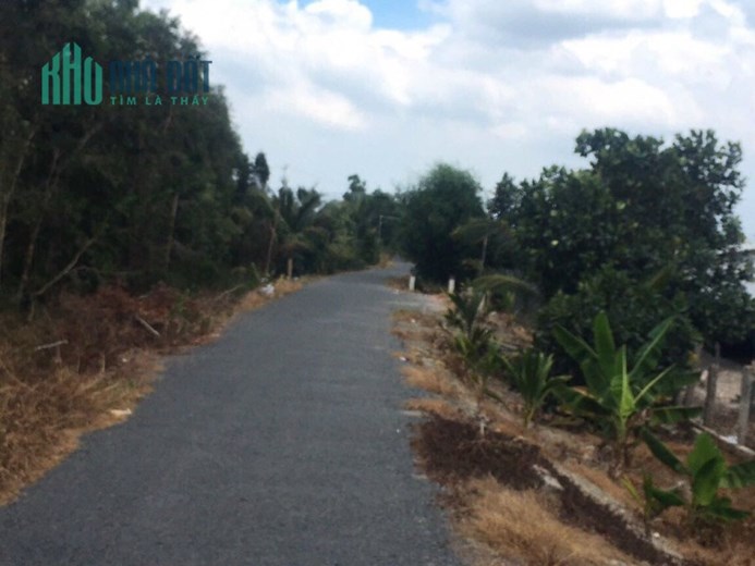 4hecta vườn Lộ Mới,thị trấn Mỹ Phước,Tân Phước,Tiền Giang