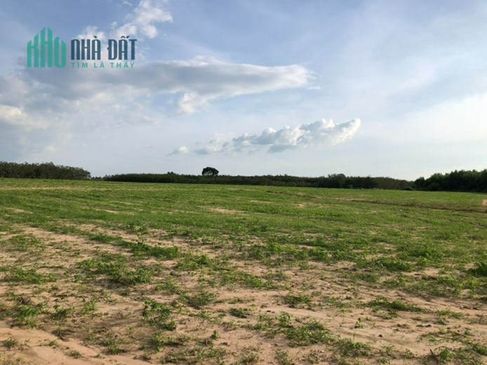 BÁN GẤP 5151M2 ĐẤT BÊN ẤP CÂY ỔI, SỔ RIÊNG CÔNG CHỨNG NGAY.