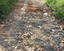 Chính Chủ Cần Bán Đất Vườn