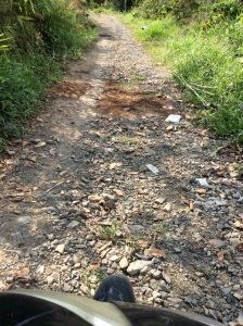 Chính Chủ Cần Bán Đất Vườn