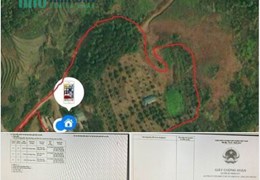 Chính chủ cần tiền bán nhanh lô đất trang trại macca (2 tháng nữa là vào vụ mùa thu hoạch) thuộc