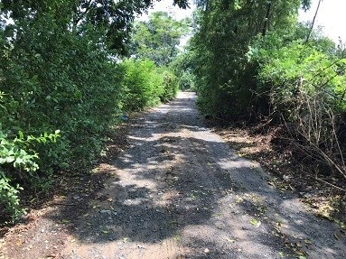 Chính chủ cần chuyển nhượng đất tại  Tân Sơn, Hoà Sơn, Lương Sơn, Hoà Bình