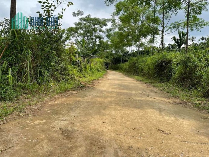 CẦN BÁN GẤP MẢNH ĐẤT GIÁ ĐẦU TƯ F0 LỖ SƠN TÂN LẠC HOÀ BÌNH