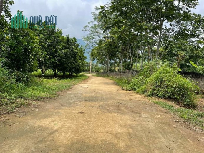 CẦN BÁN GẤP MẢNH ĐẤT GIÁ ĐẦU TƯ F0 LỖ SƠN TÂN LẠC HOÀ BÌNH