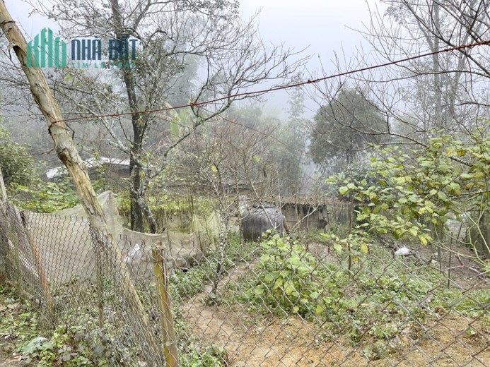 Đất nền Sa Pa- Mặt đường vào Hang Tả Phìn giá chỉ 3tr/m2