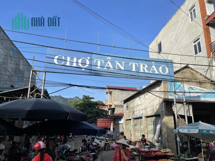 Bán nhà thổ cư tại Tân Trào, Sơn Dương, Tuyên Quang. Cách chợ 1,5km. Kinh doanh dc. Giá 30 tr/m2