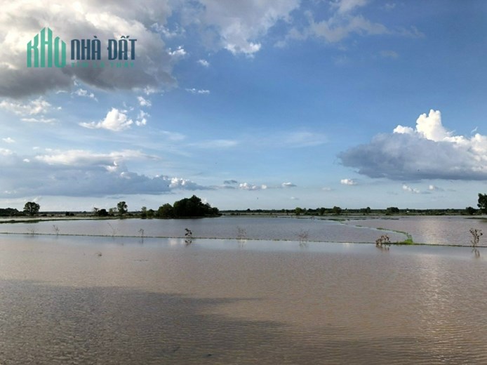 MIẾNG ĐẤT CÓ NGANG MẶT TIỀN RỘNG, VIEW SÔNG MÁT MẺ Ở CHÂU THÀNH, TÂY NINH