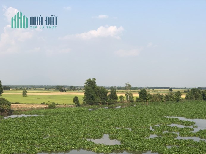 Hơn 3 công đất vườn giá ngộp ở Châu Thành – Tây Ninh cần bán gấp