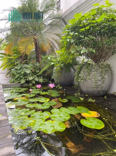 Chính chủ cho thuê BT song lập Ngọc Trai Tại Vinhomes Ocean Park Gia Lâm