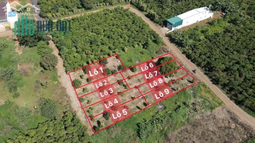 CHÍNH CHỦ BÁN LÔ ĐẤT GIÁ RẺ NGAY TRUNG TÂM THÀNH PHỐ BẢO LỘC, LÂM ĐỒNG
