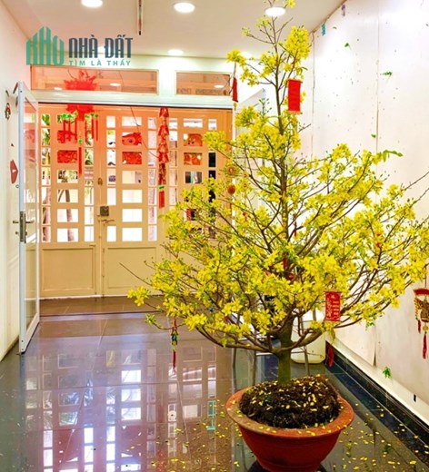 HẺM XE HƠI, 6 TẦNG, 54m2, 4.2X13M,LÊ HỒNG PHONG P1 Q10