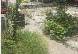 .Đất sau Mặt Tiền Hải Phòng, kiệt 3m, 50m2, nhỉnh 2 tỷ