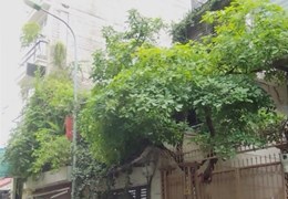 BÁN NHÀ PHÂN LÔ Ô TÔ ĐỖ NGÕ PHỐ KIM NGƯU, HAI BÀ TRƯNG 75M2 giá 9tỷ 888 triệu