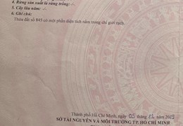 Bán đất Rừng Sác, Bình Khánh, Cần Giờ: 7,5 x 36, giá 600 triệu.