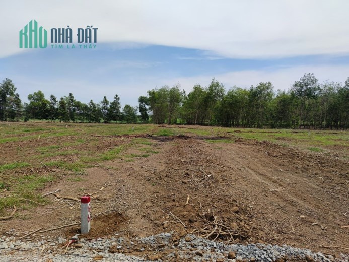 Đất sào giá rẻ ngay tại Châu Thành !!