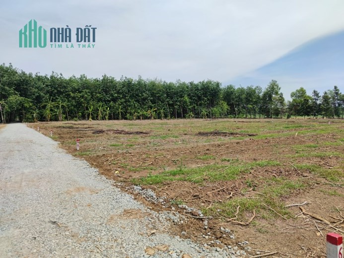 Bán 4.3 sào đất tại Tây Ninh, giá không đâu rẻ hơn