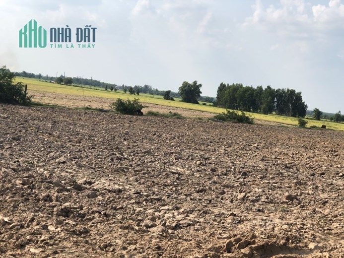 LÔ ĐẤT 3550M2 CỰC PHẨM, HIẾM CÓ KHÓ TÌM Ở CHÂU THÀNH, TÂY NINH
