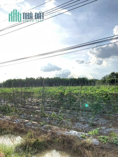 Bán lỗ  3550m2 đất mặt tiền đường ô tô 6m, Nở hậu và diện tích thực tế lớn hơn ghi nhận trong sổ