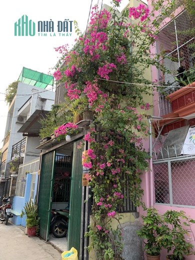 Cho Thuê nhà nguyên căn Bùi Minh Trực- Q8 vừa ở vừa kd