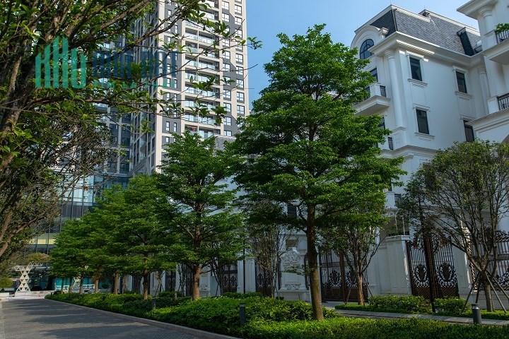 Biệt thự đơn lập ở như Resort ngay giữa Thủ đô hoa lệ