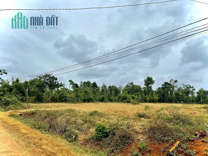 Sở Hữu Ngay Lô Đất Đẹp Vị Trí Đắc Địa Tại Xã Bình Thuận, Buôn Hồ Đăk Lăk