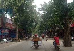 Bán khu đất thị trấn Sơn Dương, Tuyên Quang. Cạnh xe máy Hùng Cường. Làm kinh doanh tốt. giá chỉ 45